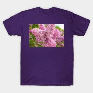 Pink lilac flowers T-Shirt